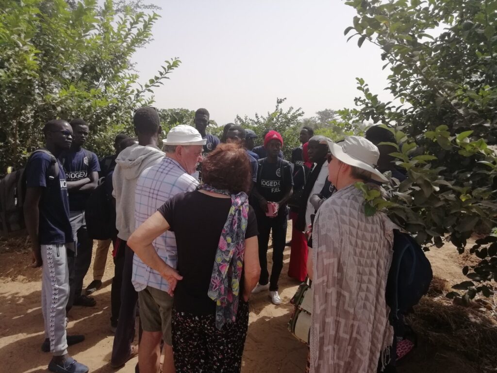 1a967cb3-84a8-4486-b173-3306006684f3