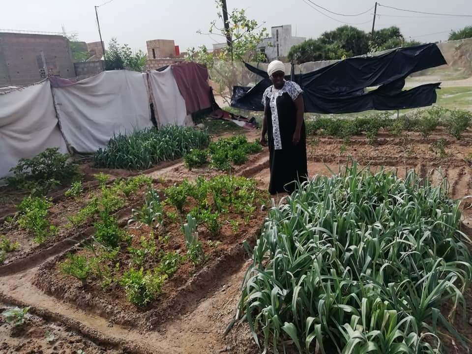 Autonomisation des femmes et filles