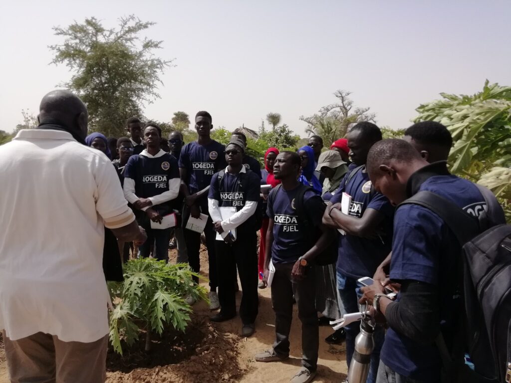 83882078_2488999821428162_8919941814392193024_n