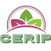 p11_Plan de travail 1